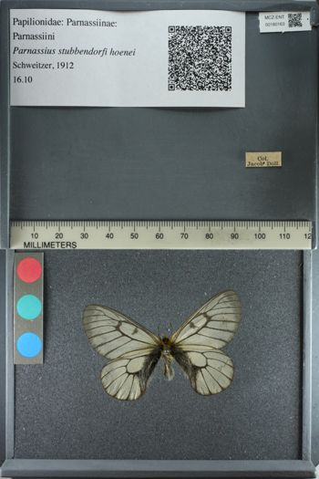 Media type: image;   Entomology 180163